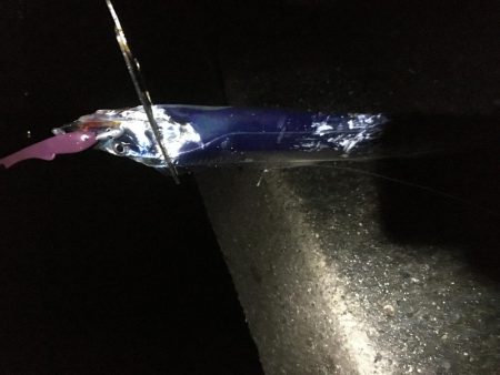 深夜の太刀魚釣り